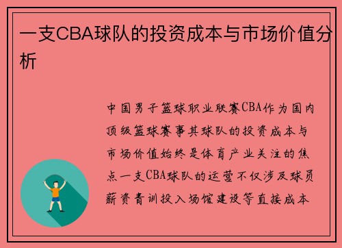 一支CBA球队的投资成本与市场价值分析