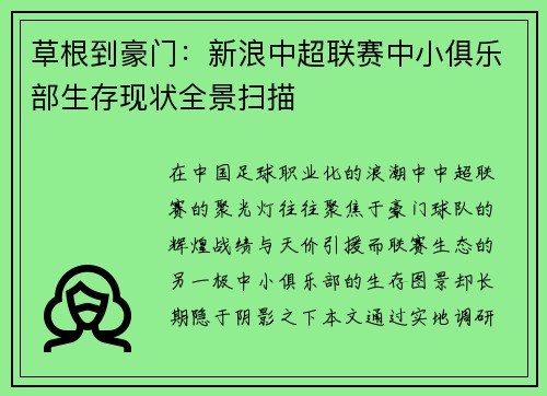 草根到豪门：新浪中超联赛中小俱乐部生存现状全景扫描